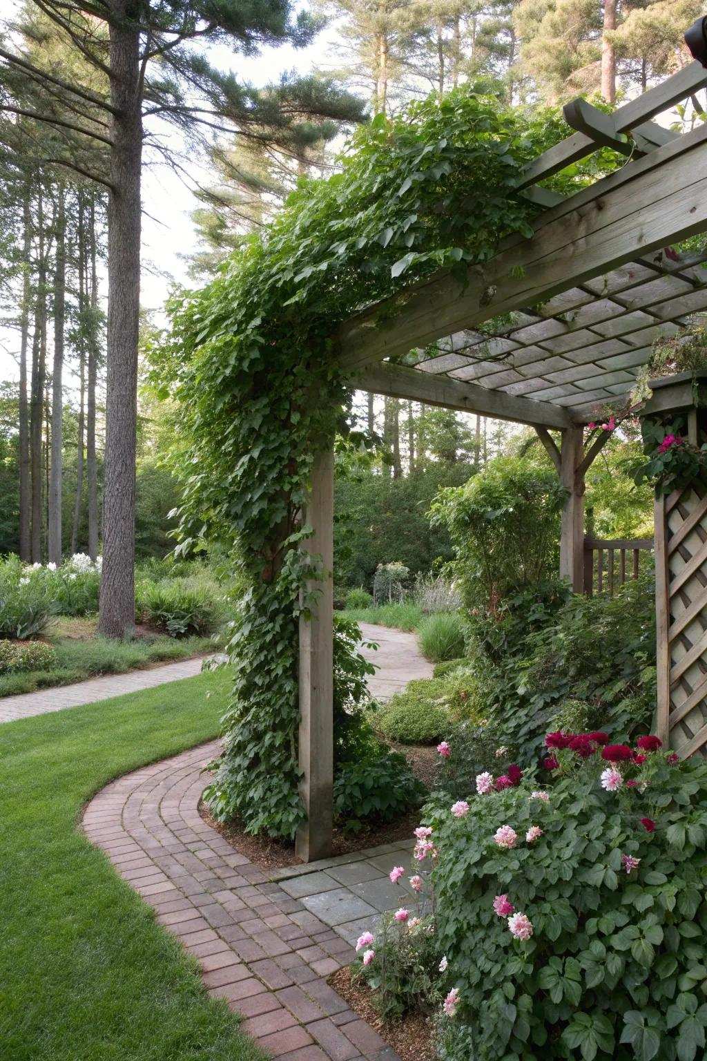 An arbor adorned with climbing plants offers a secluded and shaded hideaway.