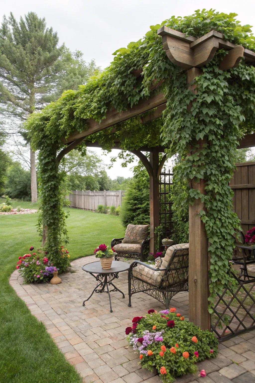 An arbor fashioned into an enchanting and shaded escape.
