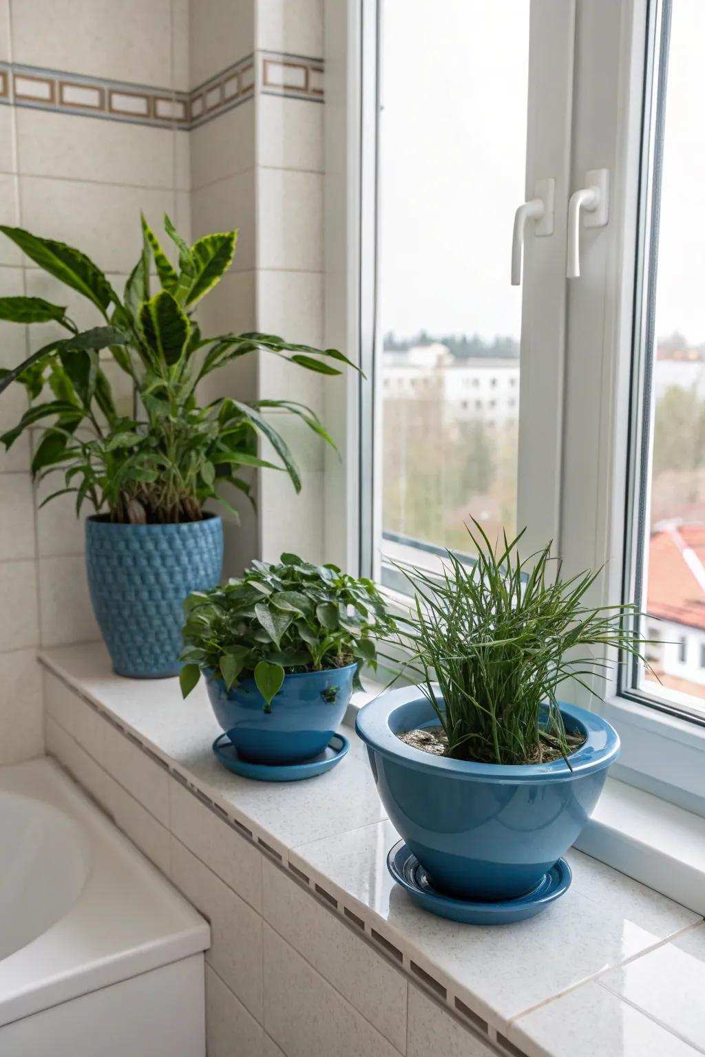 Azure plant vessels inject a crisp and animated touch into this vigorous bathroom.