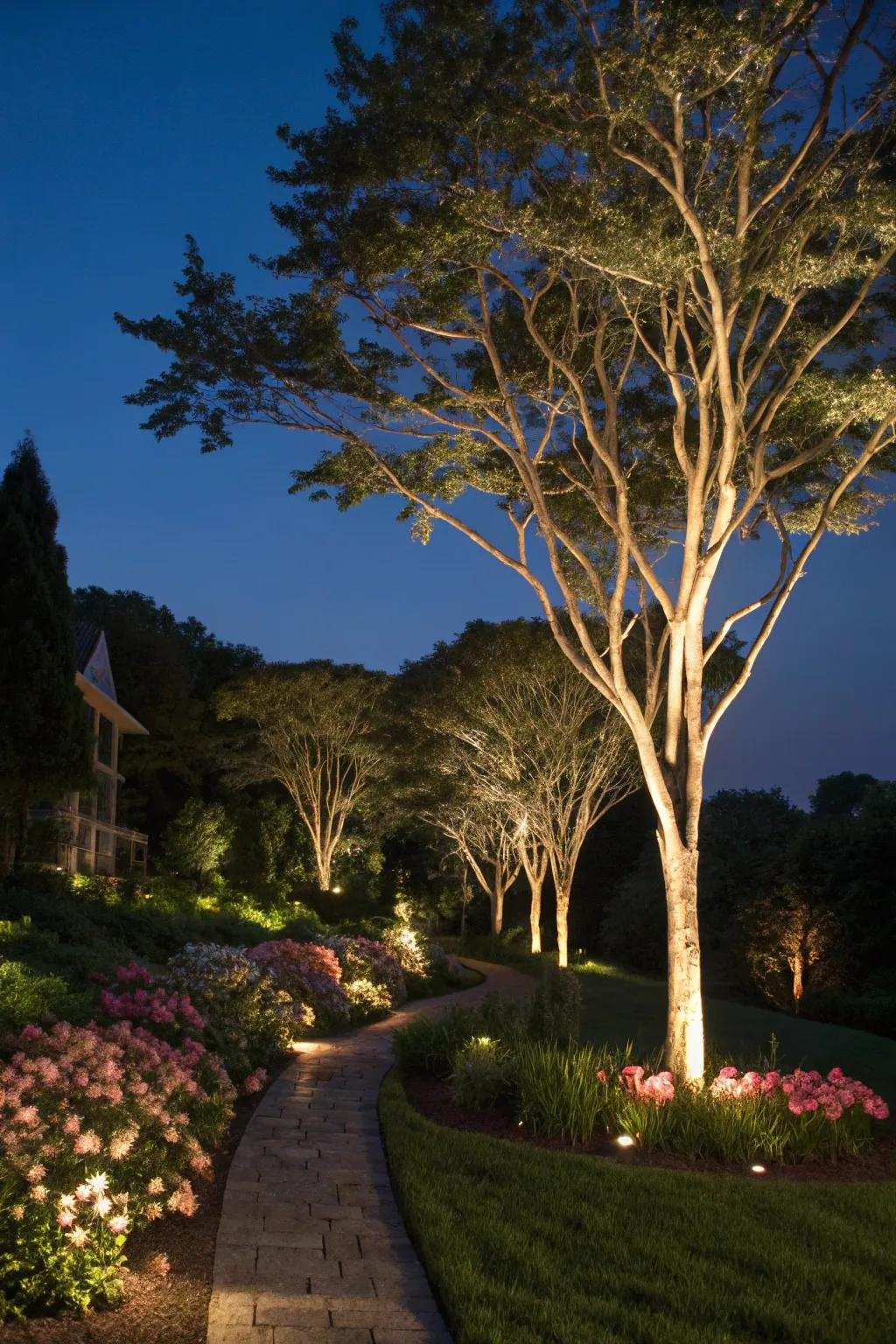Dramatic solar uplights contribute depth to garden attributes.