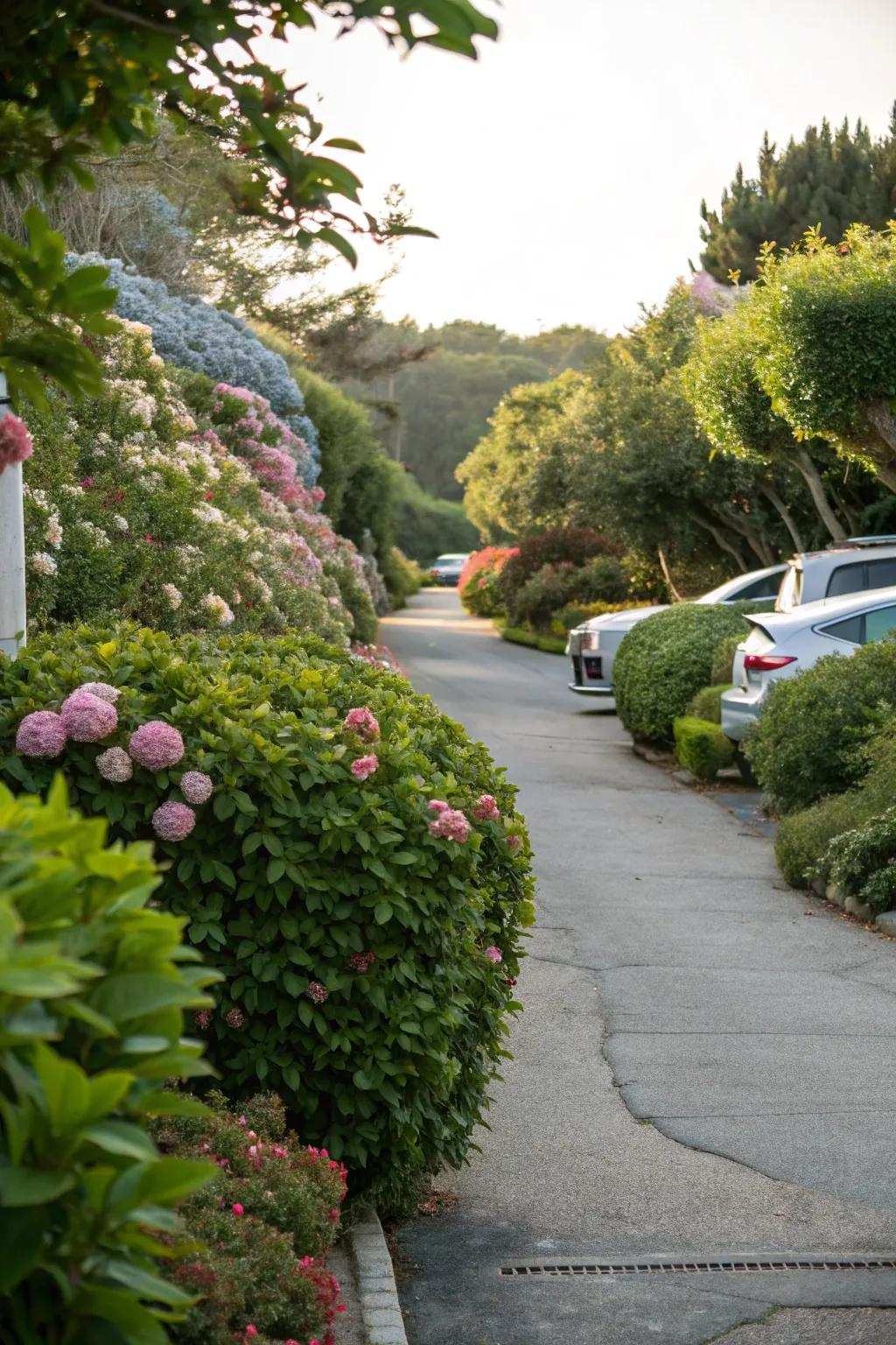 Driveway featuring verdant borders to amplify its beauty.