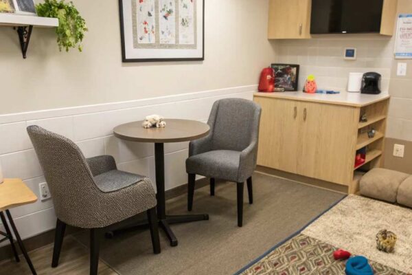Boosting Office Productivity with Refreshing Breaks