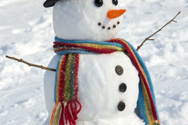 Preppy Christmas Art Ideas