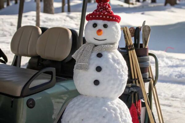 Decorating Your Golf Cart for Christmas
