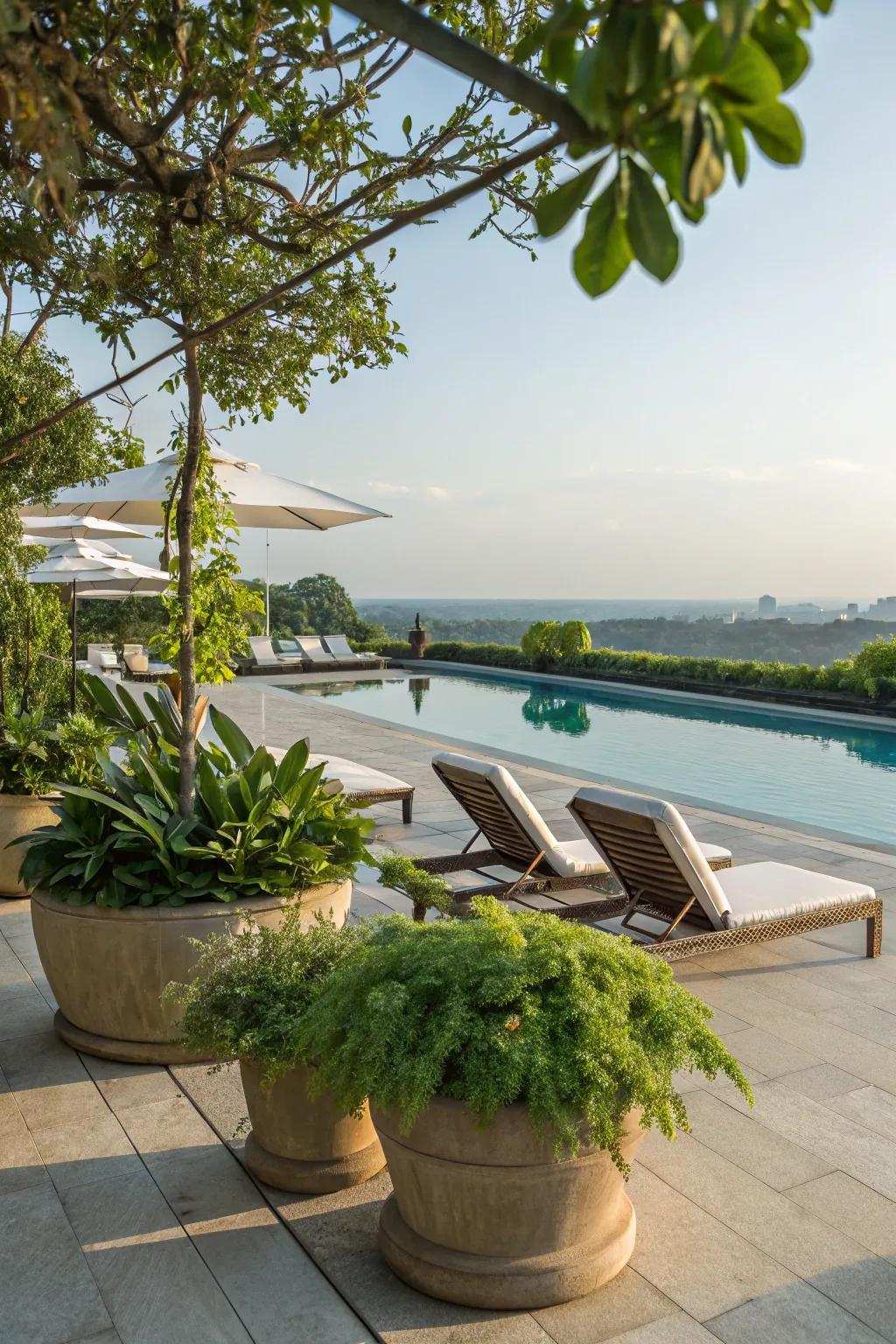 Natural aspects with flower boxes and greenery enhancing the pool deck.