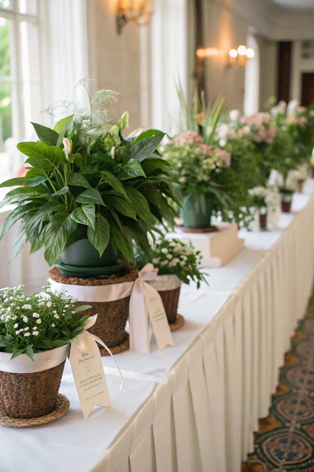 Planted flora serving as multipurpose aesthetic features and guest favors.