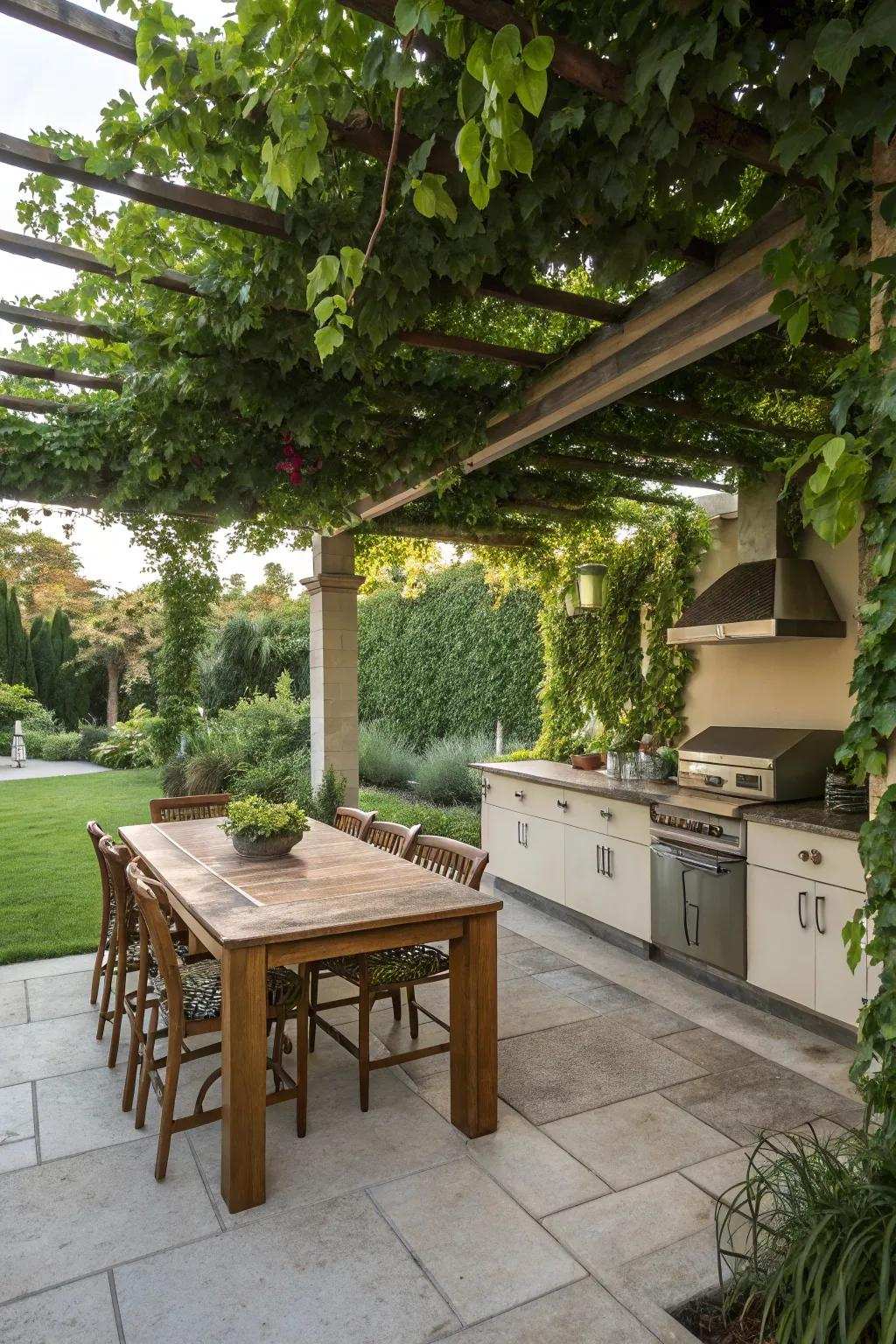Spreading vines on an arbor establish a lush, natural canopy.